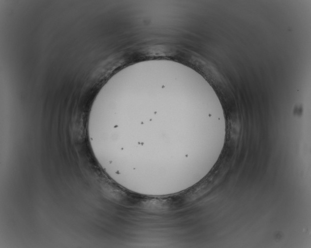 X0000091960422200710041032
