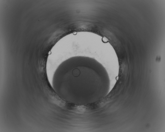X0000091960423200710041032