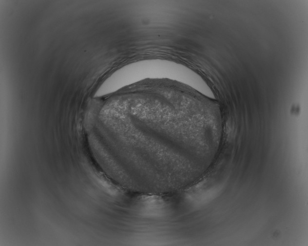 X0000091960424200710041032