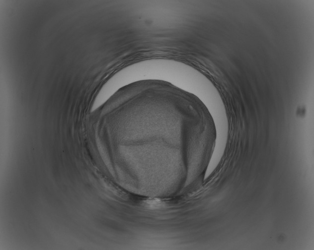 X0000091960425200710041032