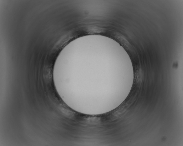 X0000091960426200710041032