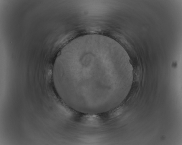 X0000091960427200710041032