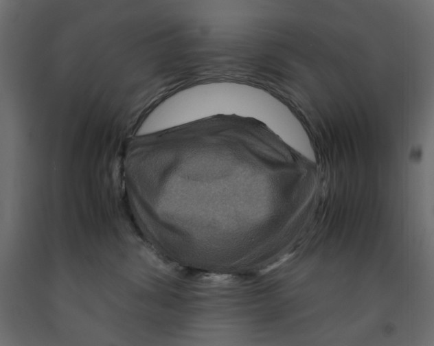 X0000091960428200710041032
