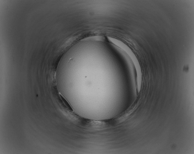 X0000091960429200710041032