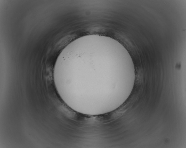 X0000091960430200710041032