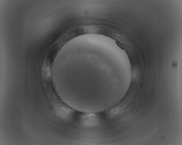 X0000091960431200710041032