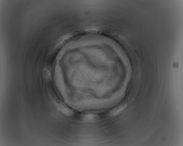 X0000091960432200710041032
