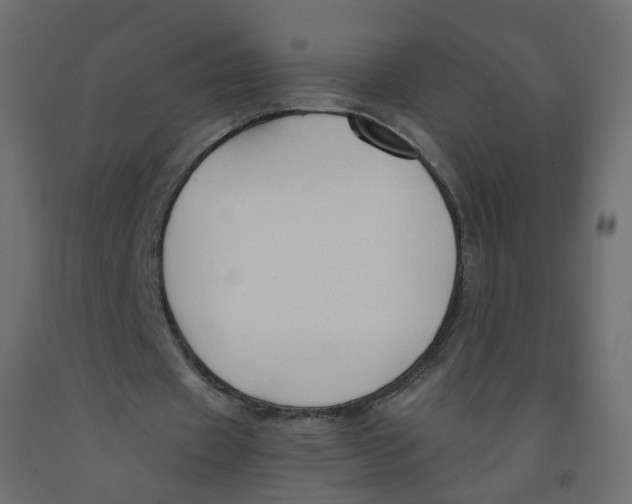 X0000091960433200710041031