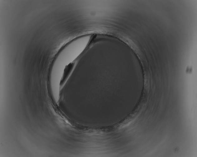 X0000091960434200710041031
