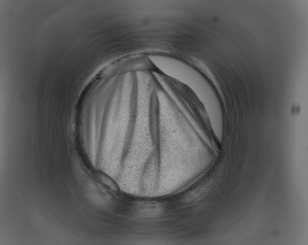 X0000091960435200710041031