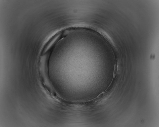 X0000091960436200710041031