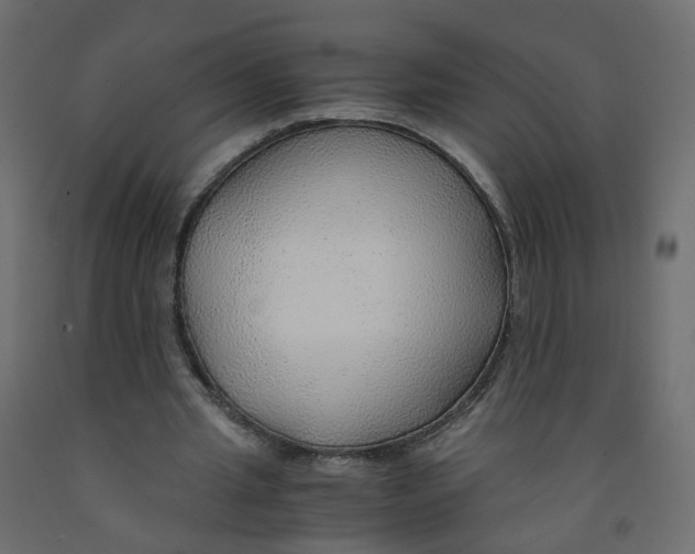 X0000091960437200710041031