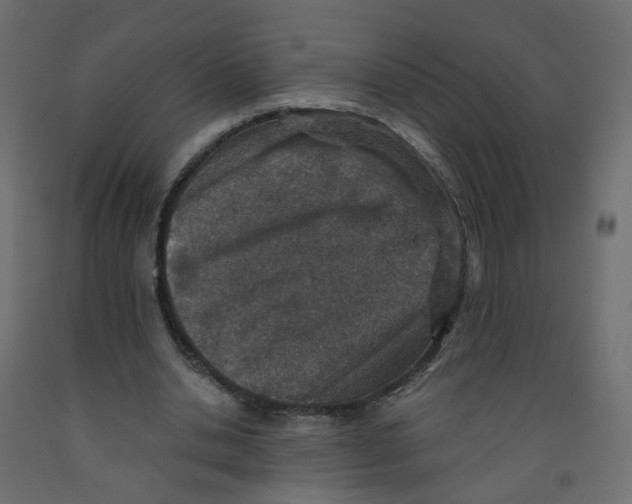 X0000091960438200710041031