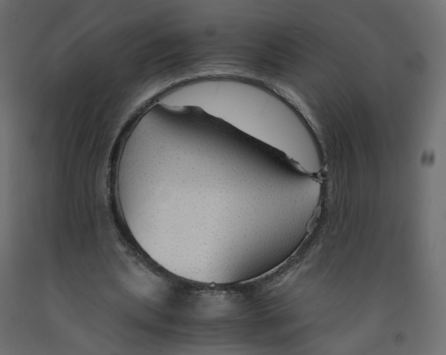 X0000091960439200710041031