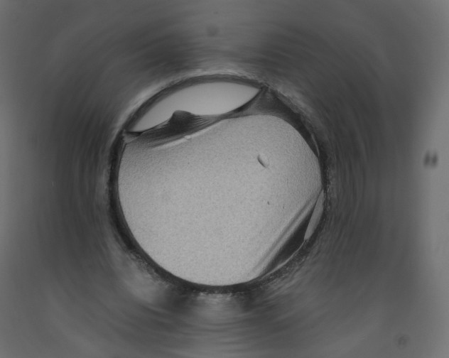 X0000091960440200710041031