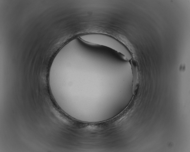 X0000091960441200710041031