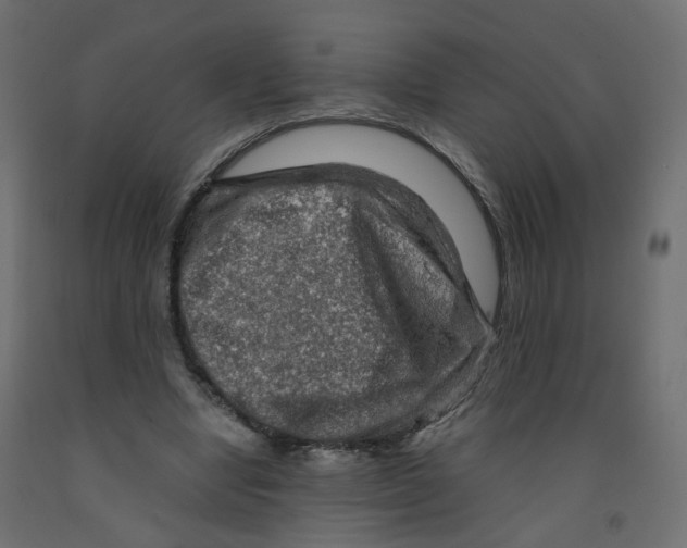 X0000091960442200710041031