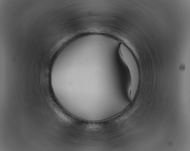 X0000091960445200710041031