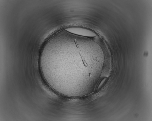 X0000091960446200710041031