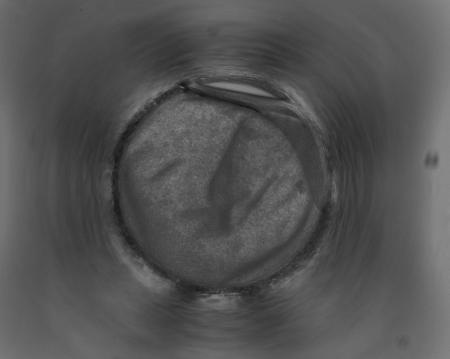 X0000091960447200710041031