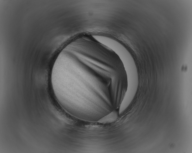 X0000091960448200710041031