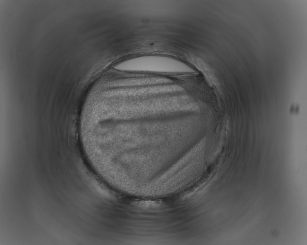 X0000091960449200710041031