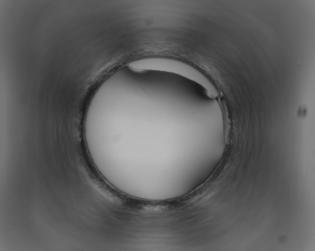 X0000091960450200710041031