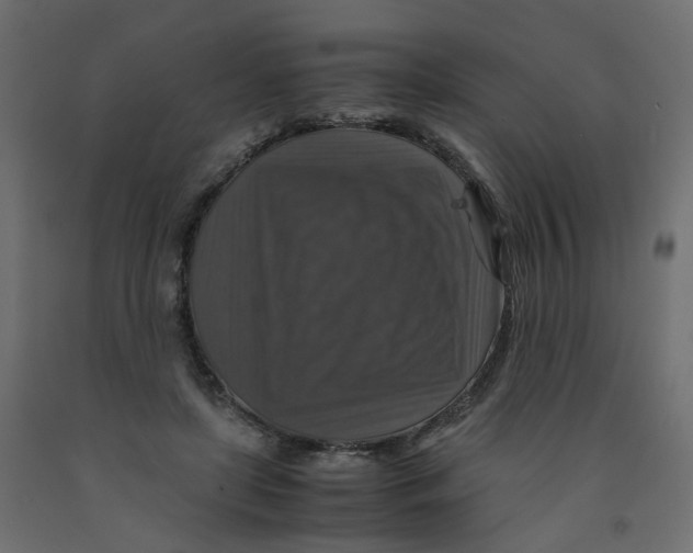 X0000091960451200710041031
