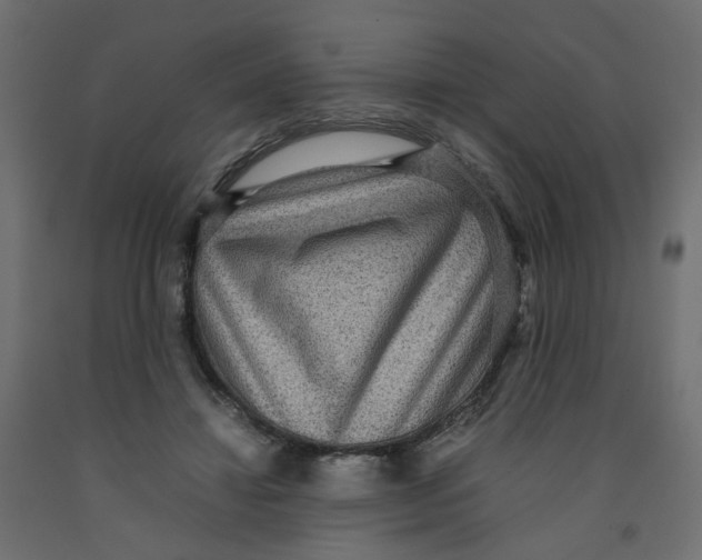 X0000091960452200710041031