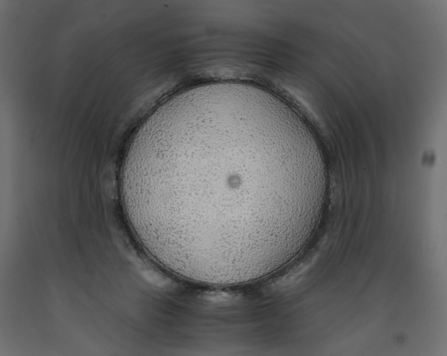 X0000091960453200710041031