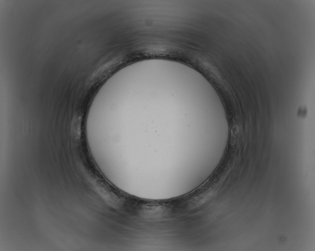 X0000091960454200710041031