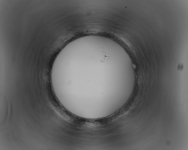 X0000091960455200710041032