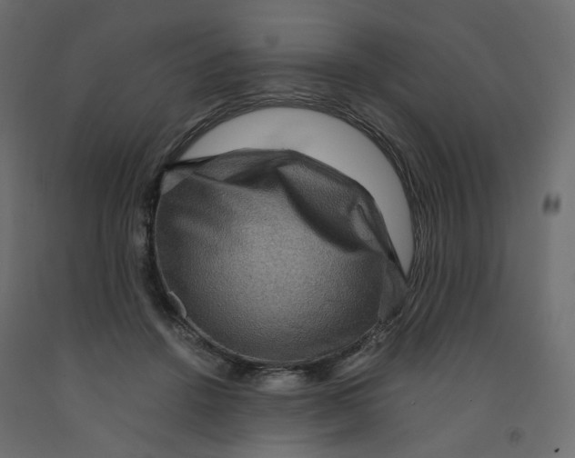 X0000091960456200710041032