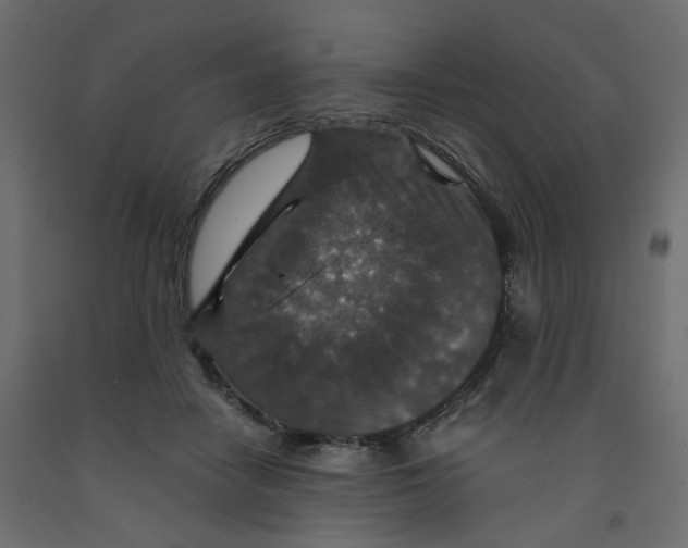 X0000091960458200710041032