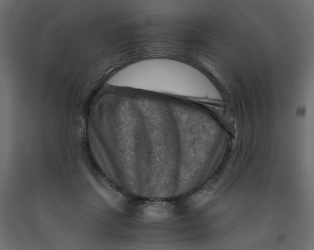 X0000091960459200710041032