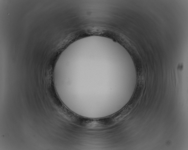 X0000091960460200710041032