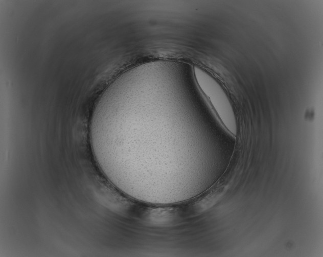 X0000091960461200710041032