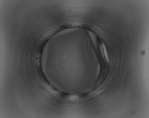 X0000091960462200710041032