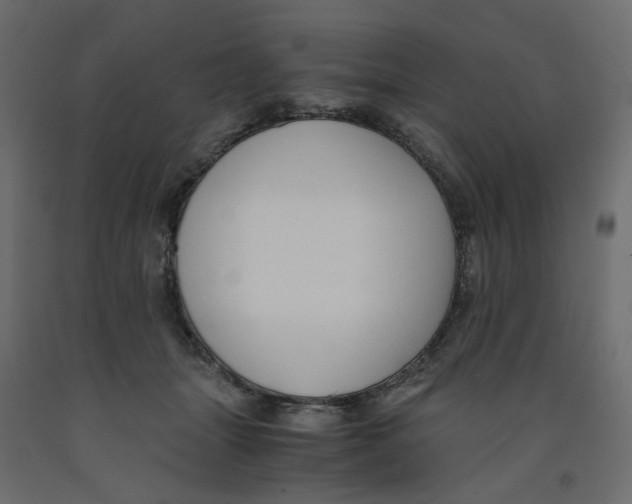 X0000091960463200710041032