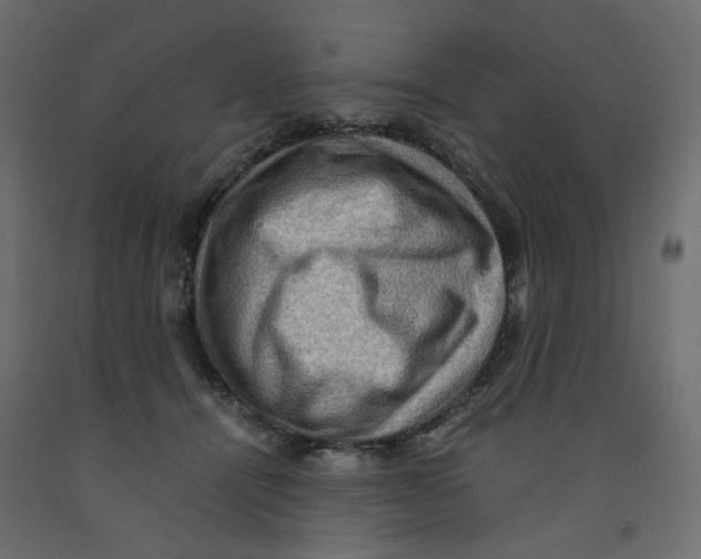 X0000091960464200710041032
