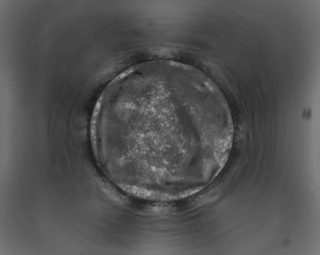 X0000091960466200710041032
