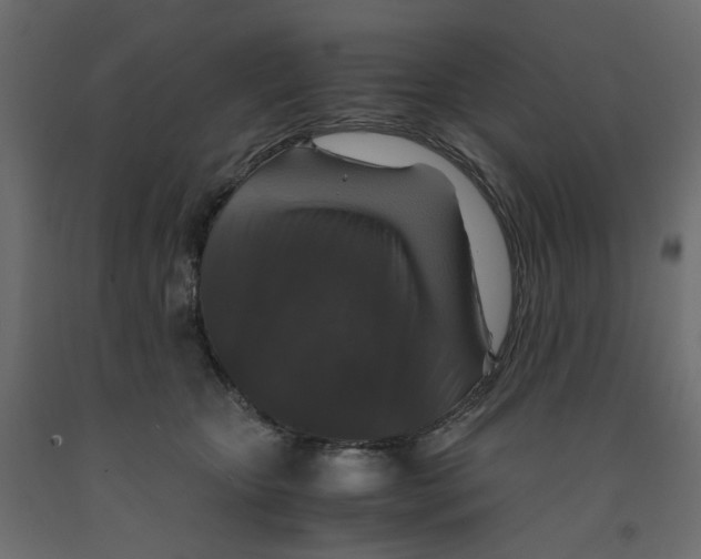 X0000091960467200710041032