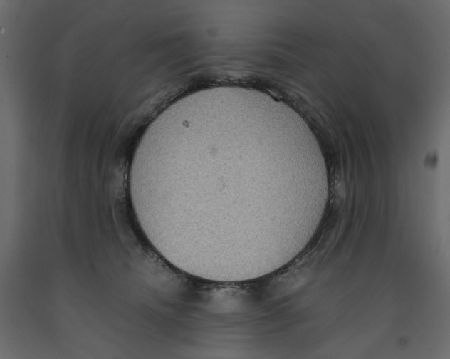 X0000091960468200710041032