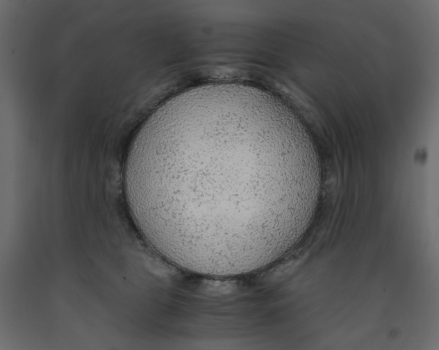 X0000091960469200710041032