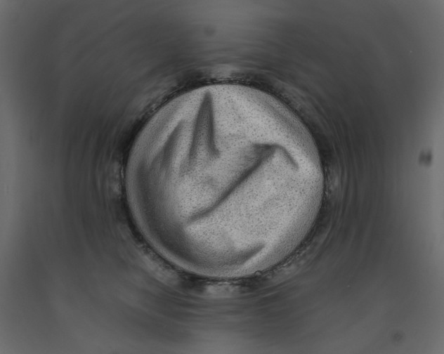 X0000091960470200710041032