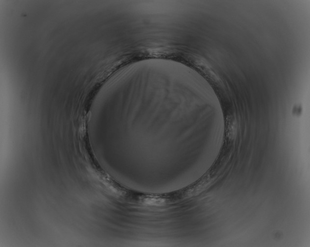 X0000091960471200710041032