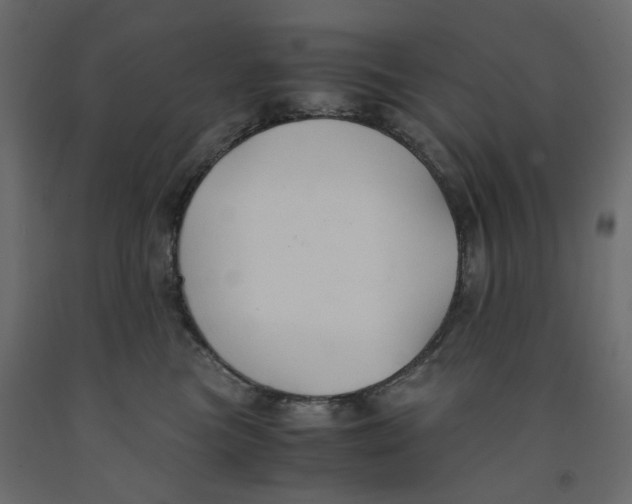 X0000091960473200710041032