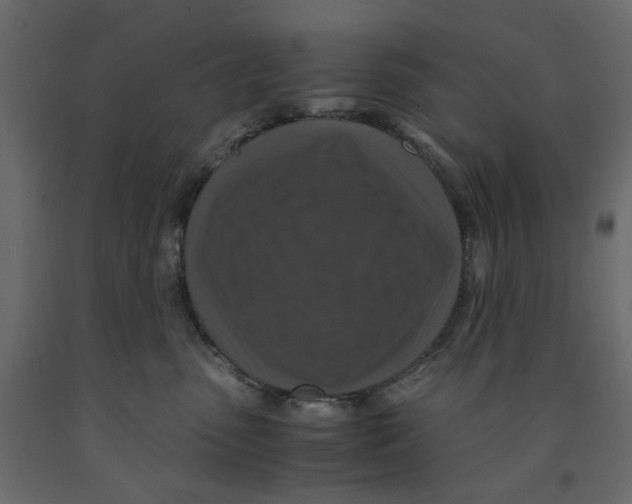 X0000091960475200710041032