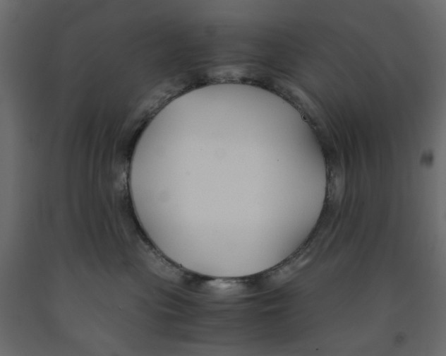 X0000091960477200710041032
