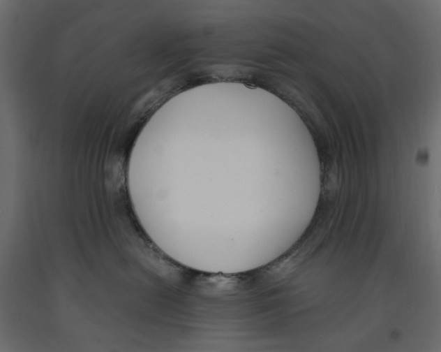 X0000091960478200710041032